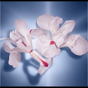 Meet your Posher, Norma